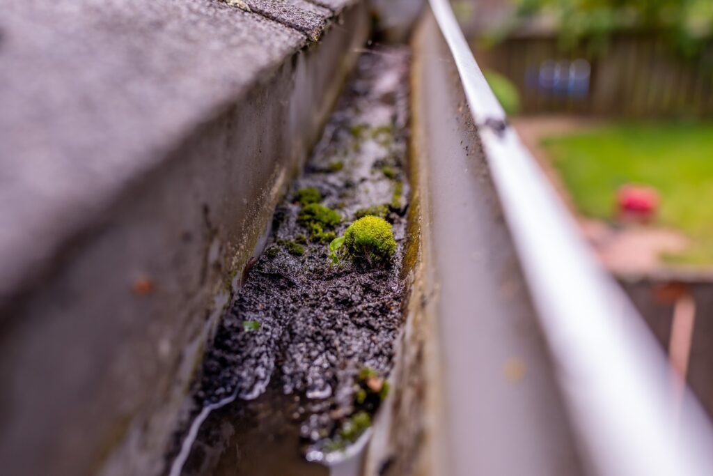Gutter of Calgary home in Spring before cleaning